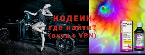 хмурый Арсеньев