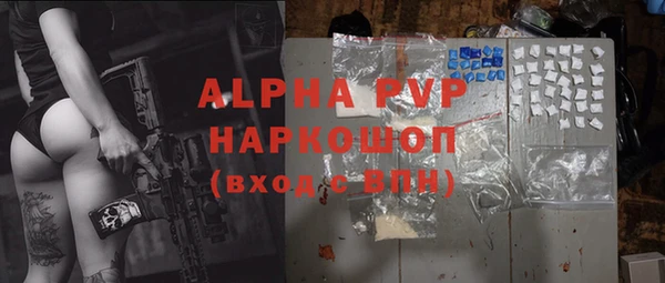 стаф Аркадак