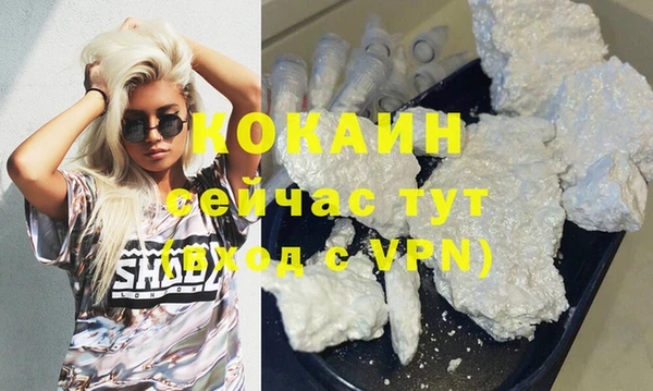 хмурый Арсеньев