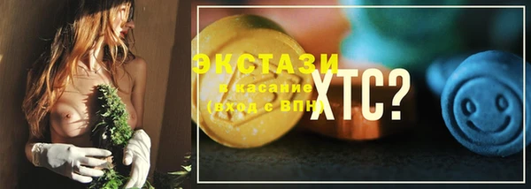 стаф Аркадак