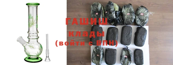 хмурый Арсеньев