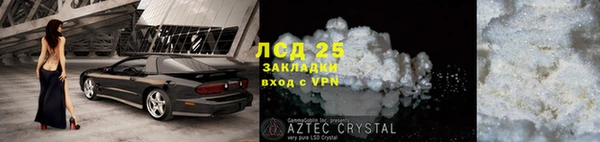 стаф Аркадак