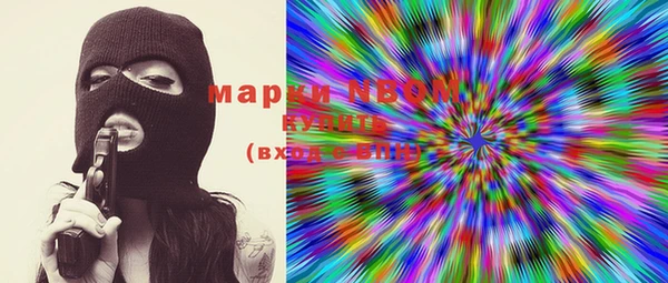 стаф Аркадак