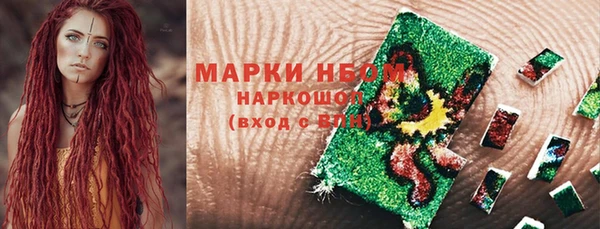 хмурый Арсеньев