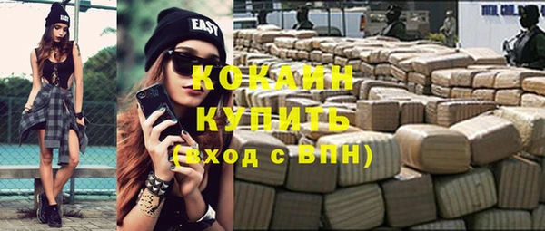 стаф Аркадак