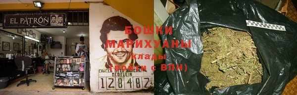 стаф Аркадак