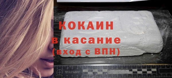 хмурый Арсеньев