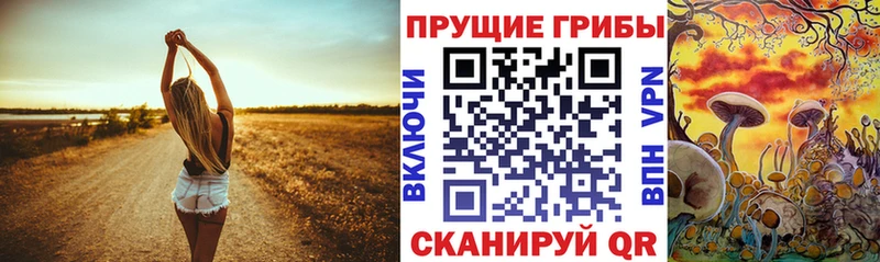 ОМГ ОМГ рабочий сайт  что такое   Советск  Псилоцибиновые грибы Psilocybe 